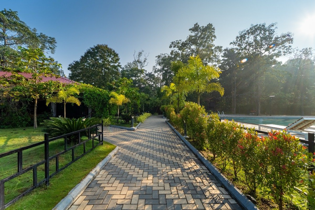 Dandeli from Goa scenic jungle road through the Western Ghats