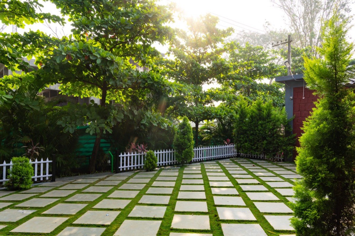 River Point resort Dandeli — riverside view