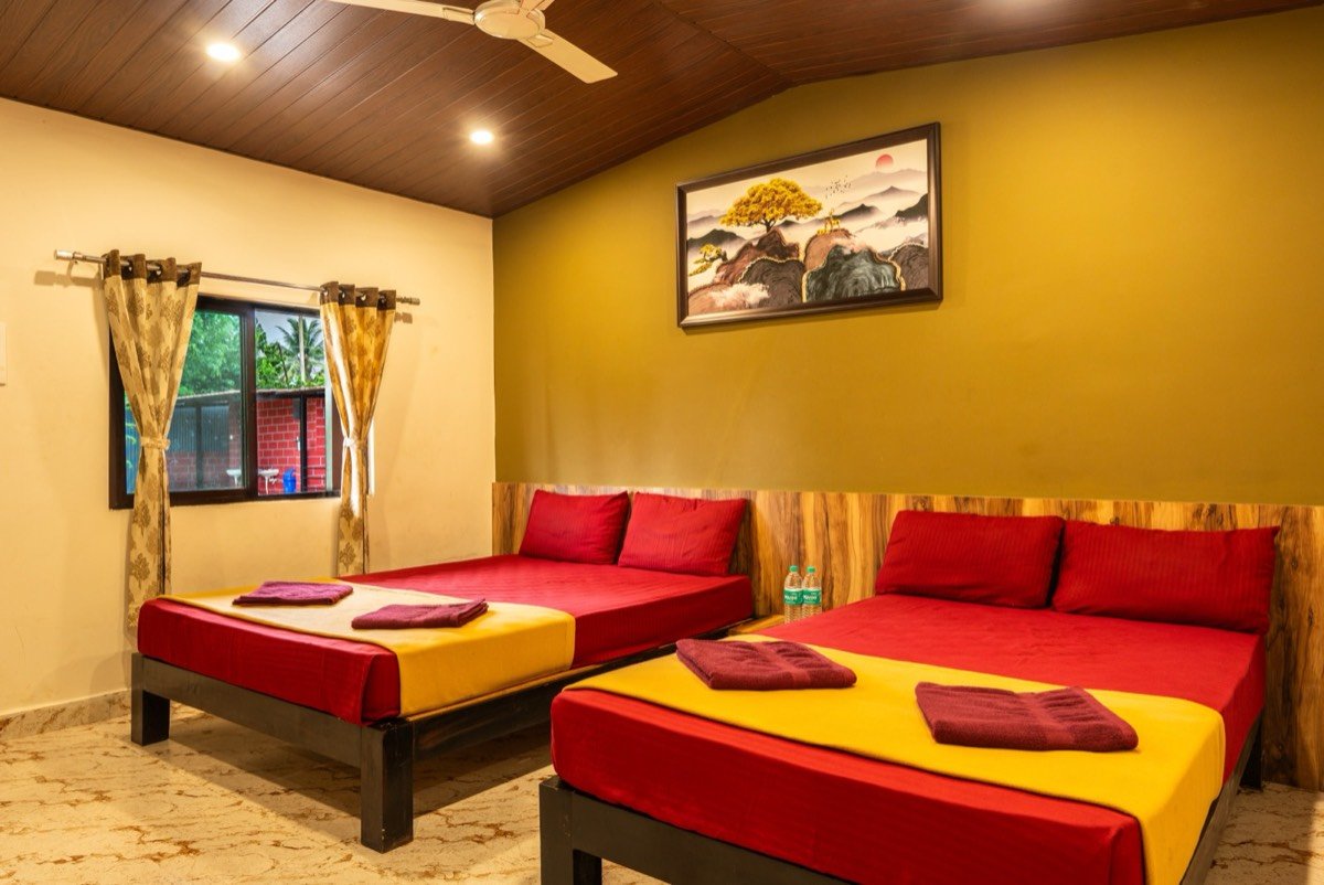 River Point Dandeli — scenic nature and jungle